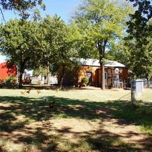 Meet your Posher, Pat